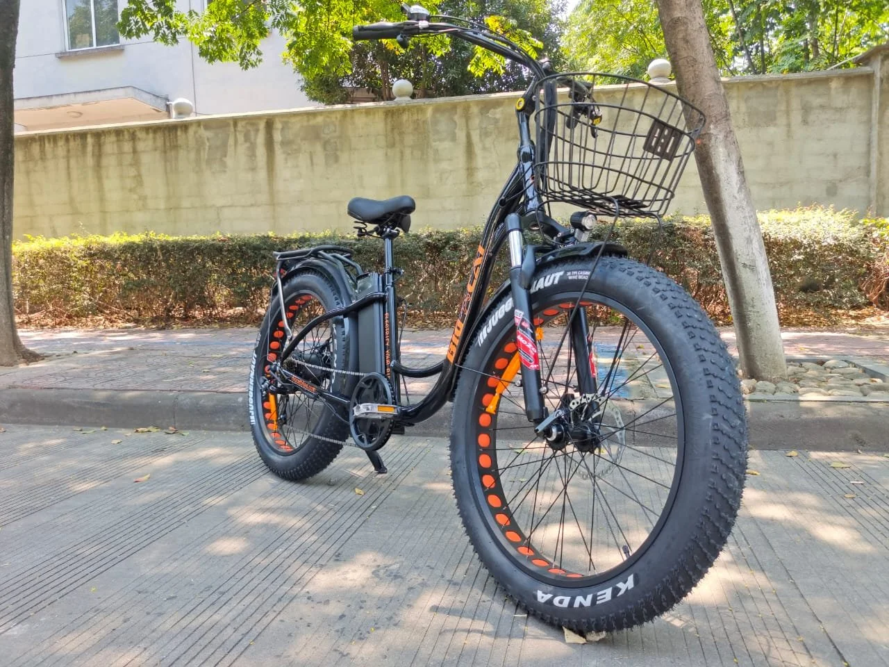 Big cat discount electric bike